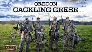 Oregon Goose Hunt: 1000s Of Cackling Geese In Action!