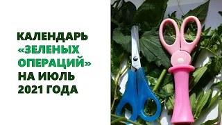 Календарь зеленых операций на июль 2021 года