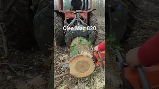 Husqvarna vs Echo vs Oleo Mac vágásteszt -log cutting test