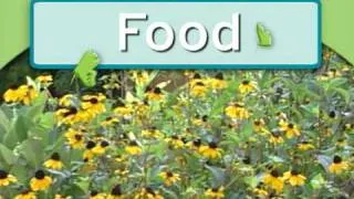 Certified Wildlife Habitats - Providing Food (#2)