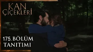 Kan Çiçekleri 175. Bölüm Fragmanı | Ormanda Romantik Gece!