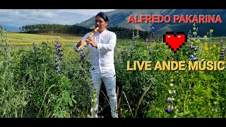 LIVE ANDEEAN FLUTE  MUSIC❤️️🔥️  👍