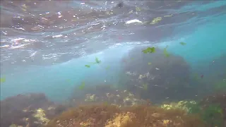 ПОД ВОДОЙ / ЯЛТА / Жизнь в Ялте