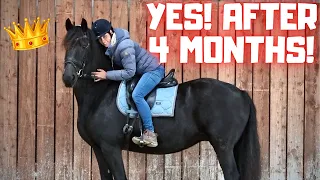 The first time I ride Queen👑Uniek again after being in a coma | Friesian Horses