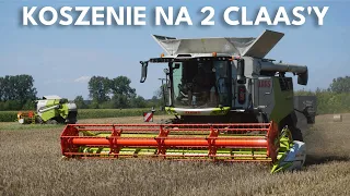 🔥KOSZENIE NA 2 CLAAS'Y🔥 Zakończenie żniw 2023 w GR Błachnio | Trion 640 & Tucano 320 | Agro Garwolin