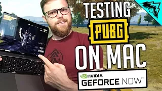 PUBG on MAC - "NVIDIA Geforce NOW" on Macbook - Gameplay & Highlights