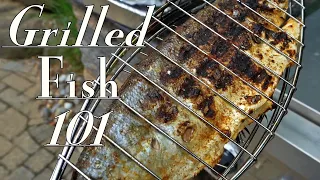 Grilled Whole Fish 🐟 Catch and Cook Cocktail Bluefish