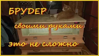 Брудер своими руками. Брудер для цыплят своими руками с автоматикой. DIY