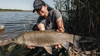 ЛОВЛЯ КАРПА И АМУРА В КРАСНОДАРСКОМ КРАЕ! СПОРТИВНЫЙ ВОДОЕМ! !#CARPFISHING #рыбалканакубани