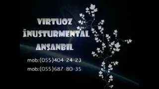 Virtuoz instrumental Ansambil 2