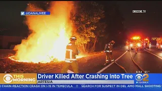 Driver Killed After Car Slams Into Tree, Catches Fire Off 91 Freeway In Artesia