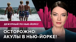 Акулы на пляжах Нью-Йорка, закон об ИИ при приеме на работу, умер внук Роберта де Ниро