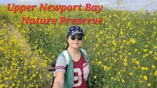 Upper Newport Bay Nature Preserve Newport Beach, California.
