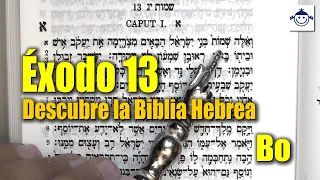 🛑 Éxodo 13 / Descubre la Biblia Hebrea (Estudio Bíblico) Raíces Hebreas ¿Qué dice la Biblia?