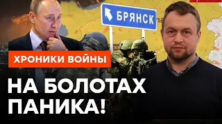 ДРГ в Брянской области — проникновение ВСУ или провокация ФСБ? | Самусь