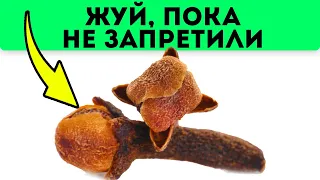 Жуй гвоздику только так! Что будет с мозгом, сердцем, сосудами. Как проверить гвоздику