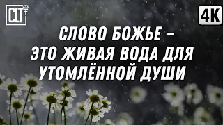 Включайте на весь экран и наполните свой дом красотой природы и Живым Словом для утомлённой души