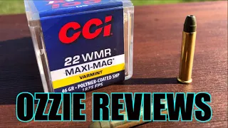 CCI 46gr SHP 22 Magnum Accuracy Test