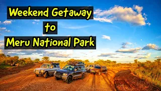 Is Meru National Park the Most Secretive Park in Kenya?