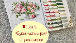 Luca-S/Букет чайных роз/вышивка крестом/обзор и начало/вышивка на равномерке