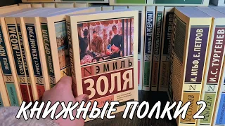 КНИЖНЫЕ ПОЛКИ 2. Эксклюзивная классика, нелюбимая полка, книги с иллюстрациями