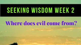 Seeking wisdom week 2: The Problem of Evil & Suffering - Bible Study