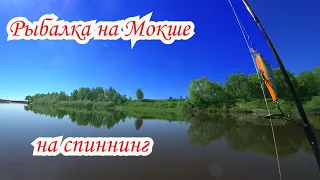 Рыбалка на спиннинг на реке Мокша /