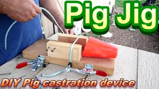 Easy to make DIY "Pig Jig" for castrating piglets