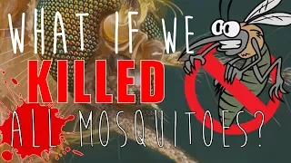 What Would Happen If We Killed ALL Mosquitoes?