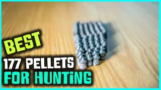 Top 5 Best 177 Pellets for Hunting [Review] - Terminator Hollowpoint Airgun Pellets [2023]