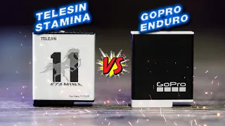 TELESIN STAMINA VS GOPRO ENDURO ЧТО ВЫБРАТЬ?