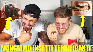 MANGIAMO GLI INSETTI PIÙ SCHIFOSI E TERRIFICANTI CHE ESISTANO - QUESTA VOLTA ABBIAMO V0MITATO TROPPO