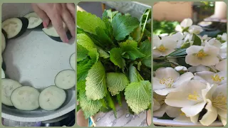 #влог🌼Я не знаю как вы с этим справляетесь?🤷/Баклажаны под яйцами🍆🐣