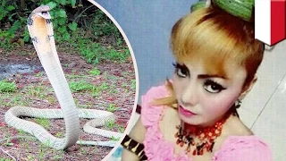 When animals attack: Cobra bites and kills Indonesian singer during performance - TomoNews