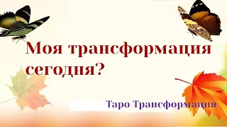 🦋 Моя трансформация сегодня? 🦋 Общий короткий расклад гадание онлайн на картах Таро. Оракул таро.