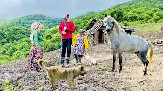 Discovery of Traditional old Houses by Nomadic Families in the tree-covered Mountains