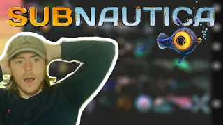 Fish Biologist Ranks All Subnautica Fish (Tier List)