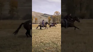 AMAZING Horse Ride!