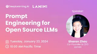 Prompt-Engineering for Open-Source LLMs