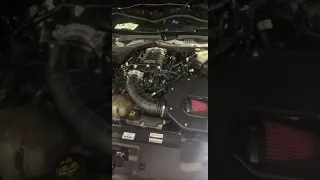 Roush Supercharger Whine