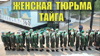 ЗАКЛЮЧЕННЫЙ ПОБЕГ из ТЮРЬМЫ в ТАЙГЕ ЭТАП ЗЕКИ ЗОНА СУДЬБА ЧЕЛОВЕКА ЗАКЛЮЧЕННЫЕ  ТЮРЬМА ОСУЖДЕННЫЕ