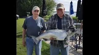 NFN's 2018 KD Salmon Tournament - Kewaunee / Door County Wisconsin Salmon Fishing Late July