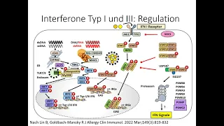 Autoinflammation Teil 2