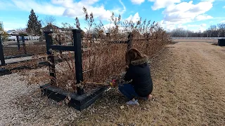 How I Prune Our Raspberries & Blackberries! 🌿✂️❤️ // Garden Answer