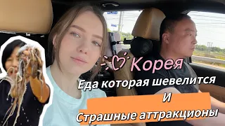 Муж заставил это съесть на камеру/удивительная Корея/прогулка у моря с детьми и аттракционы 💥🌟🔥