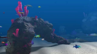 Big Kahuna Reef - Completed Reef for 7 minutes (soothing music)