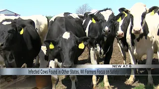 Dairy farmers on high alert over bird flu concerns