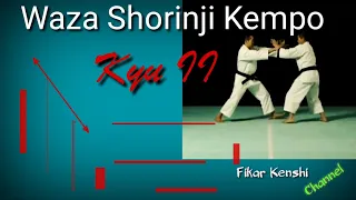 Shorinji Kempo Waza (Technique) | Kyu II, Part (1/4)