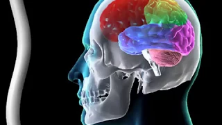 How Concussions Affect the Brain Animation - Traumatic Brain Injury (TBI) Video