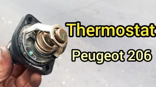 termostat removal and refittting - Peugeot 206 #Car thermostat